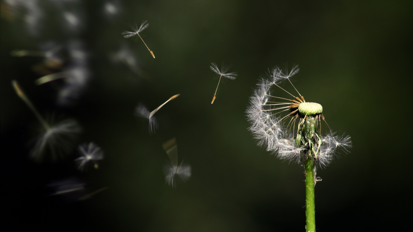 Sustainability and Collaboration: A New Leadership Paradigm